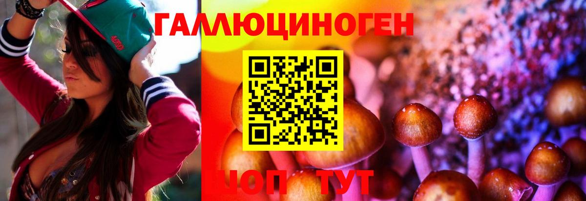 Псилоцибиновые грибы GOLDEN TEACHER Белореченск